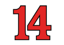 Santino Ferrucci's car number, #14
