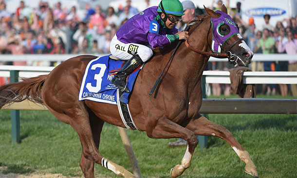 California Chrome