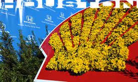 Thumbnail for What's happening in 77060: Hot times in Houston