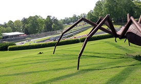 Thumbnail for Chilton can wait for belated birthday gift at Honda Indy Grand Prix of Alabama