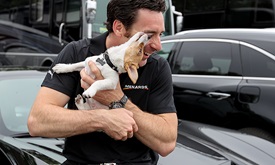 Thumbnail for It's a charmed dog's life for Pagenaud's puppy Norman