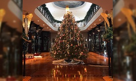 Thumbnail for INDYCAR Fast Six: What's trending in @INDYCAR from Dec. 6 to Dec. 12