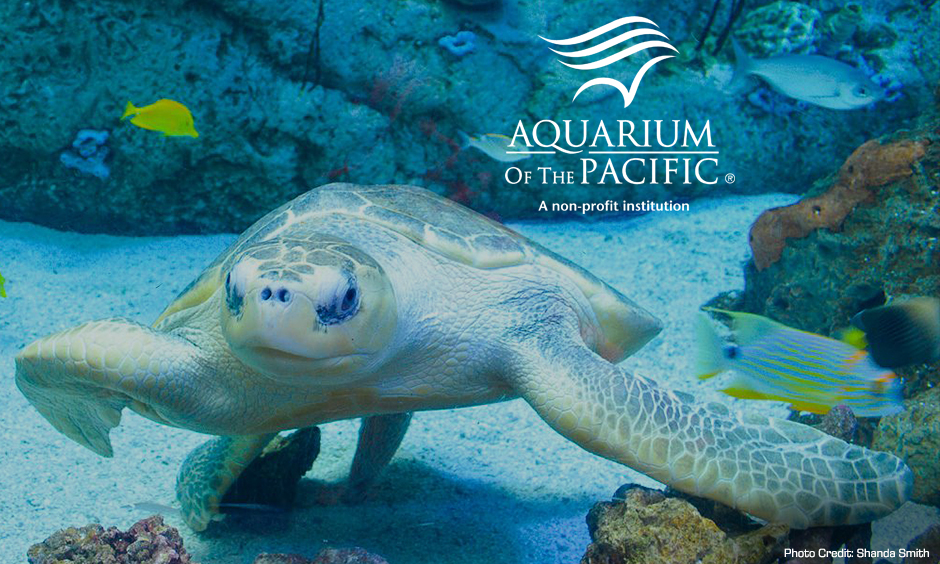 Aquarium of the Pacific