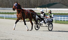 Thumbnail for Hinchcliffe rides to victory at Celebs in the Sulky charity race