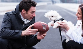Thumbnail for Pagenaud makes furry new friend in Puppy Bowl XV contender