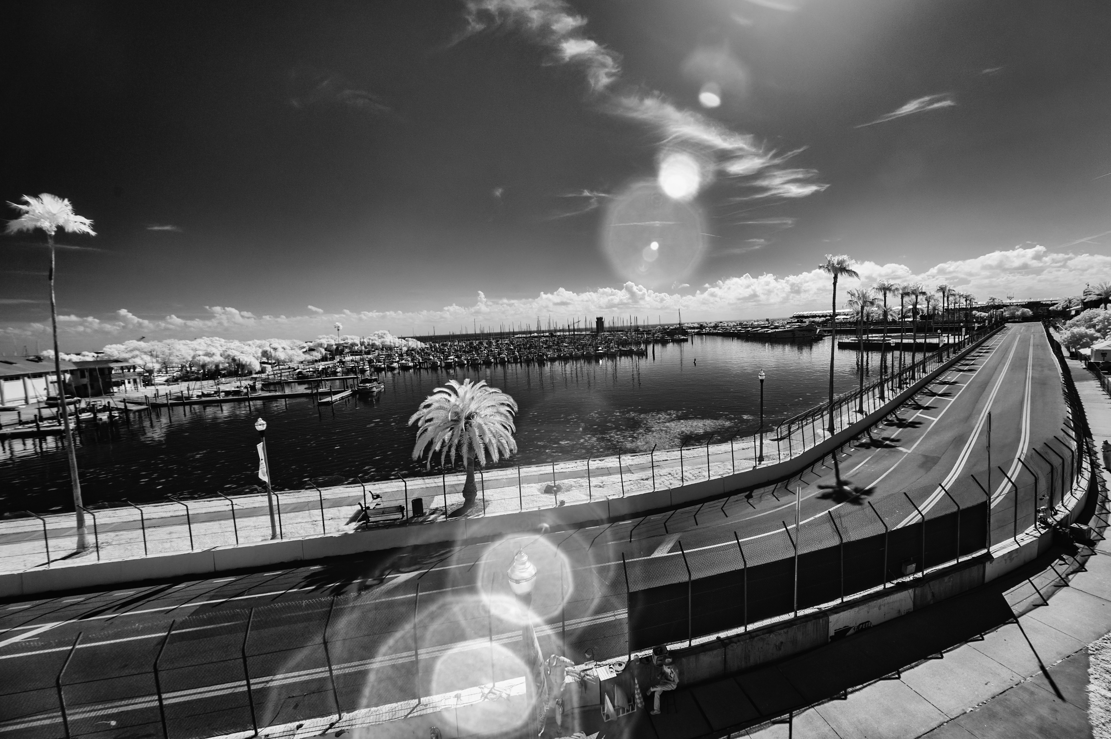 Scenic shot of the St. Pete street circuit