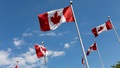 Thumbnail for Last Stand for Alex Palou’s Rivals May Come at New Race in Markham
